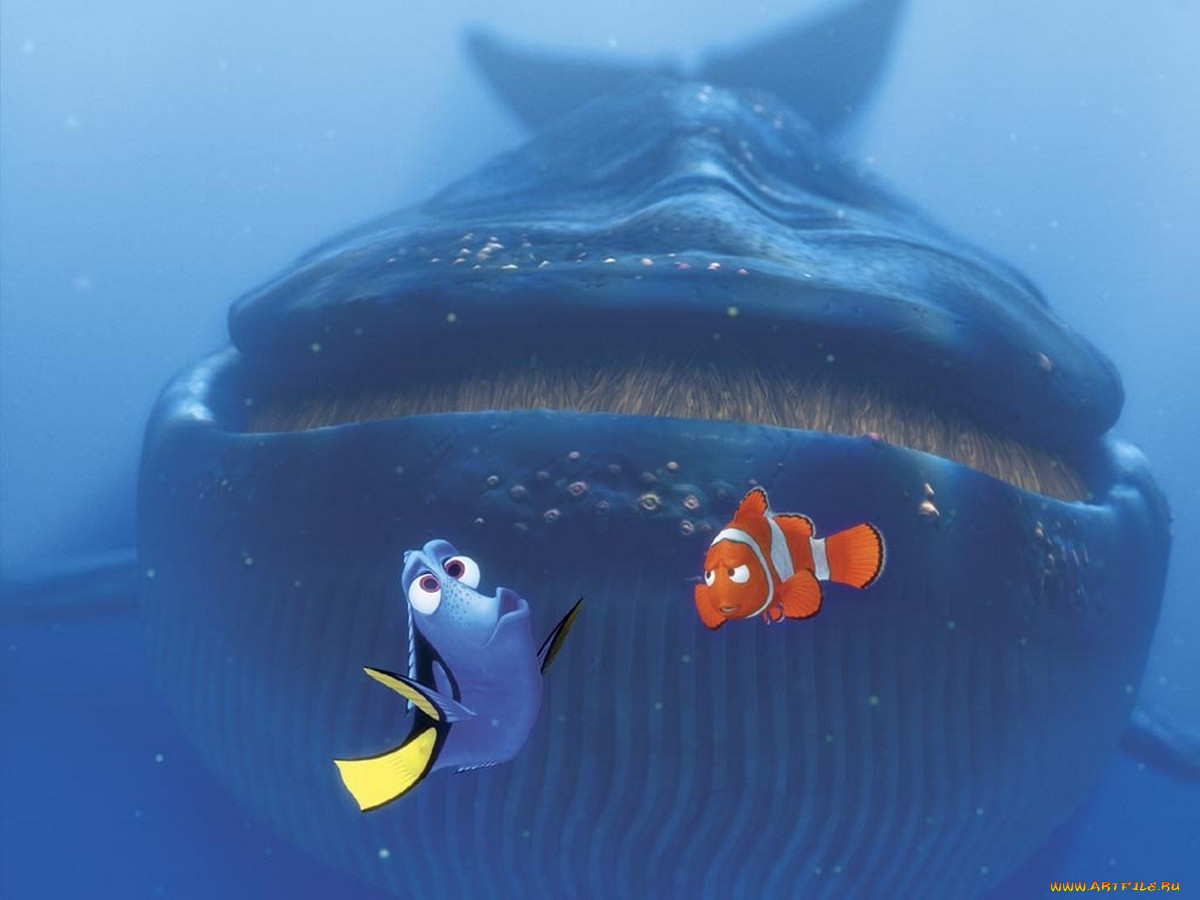 , finding, nemo
